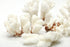 brown stem natural white coral 1 kg